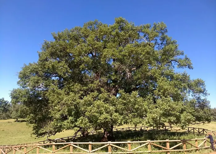 De מלון Berzocana